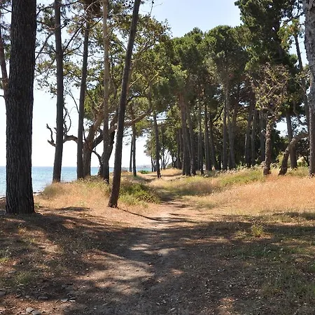 Sole E Mare Santa-Maria-Poggio (Corsica)