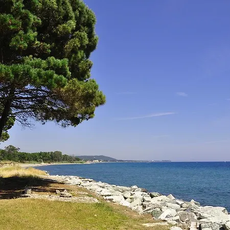 Apart-hotel Sole E Mare Santa-Maria-Poggio (Corsica)