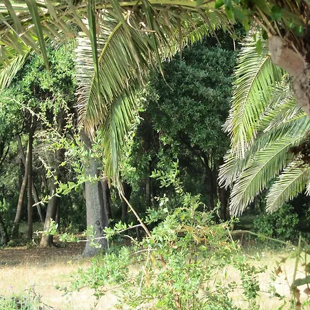 Lägenhetshotell Sole E Mare