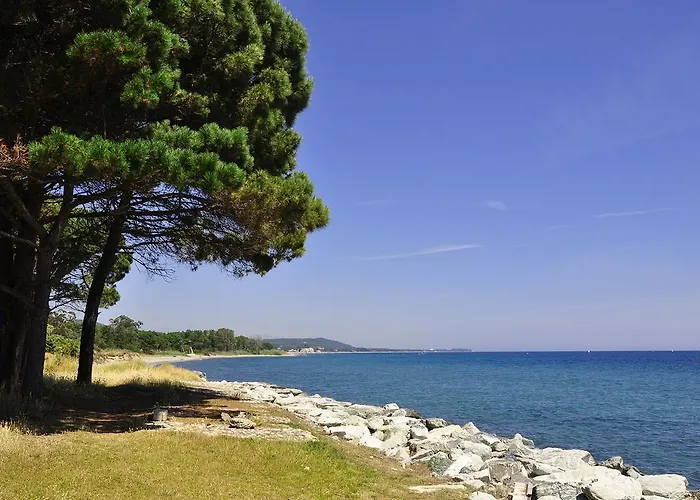 Apart Otel Sole E Mare Santa-Maria-Poggio (Corsica)