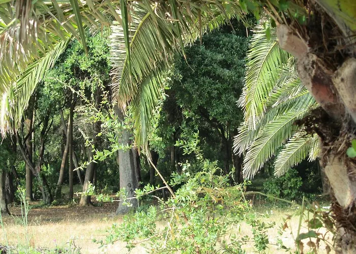 Apart Otel Sole E Mare